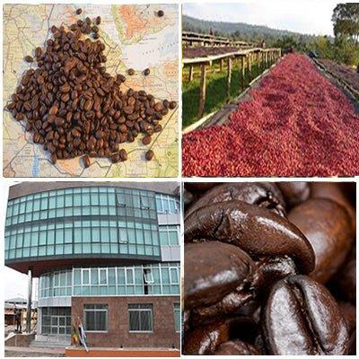 Ethiopia Natural Single Origin- Medium Light Roast - Image 3