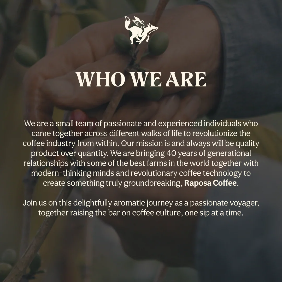 Sunrise Blend | Dark Roasted Whole Specialty Coffee Beans - Image 9